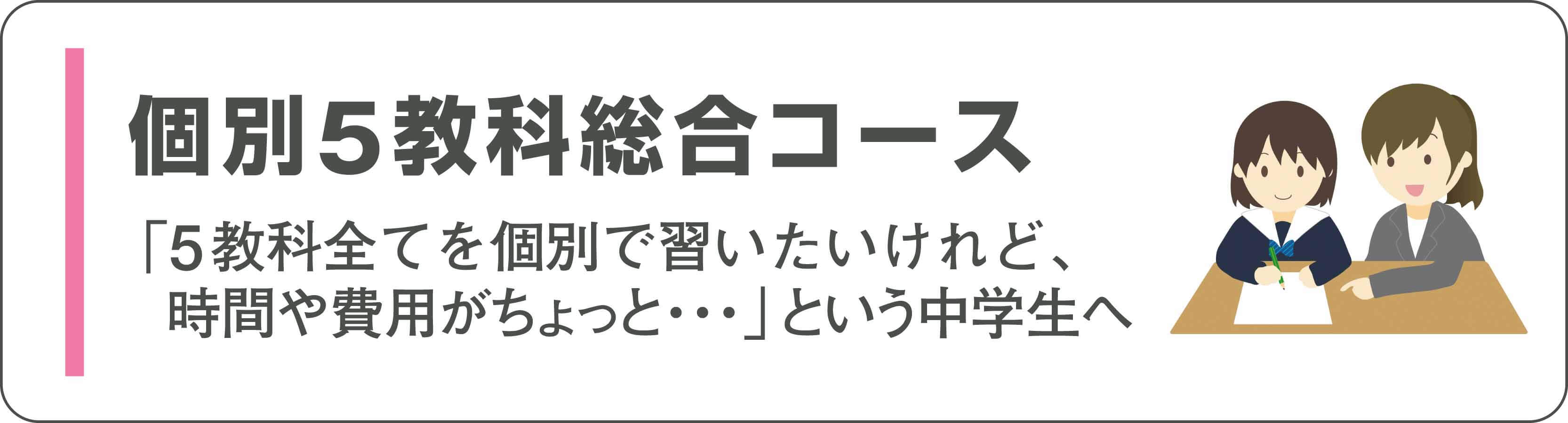 個別5教科総合コース